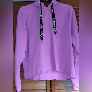 Calvin Klein logo hoodie, dark pink, L